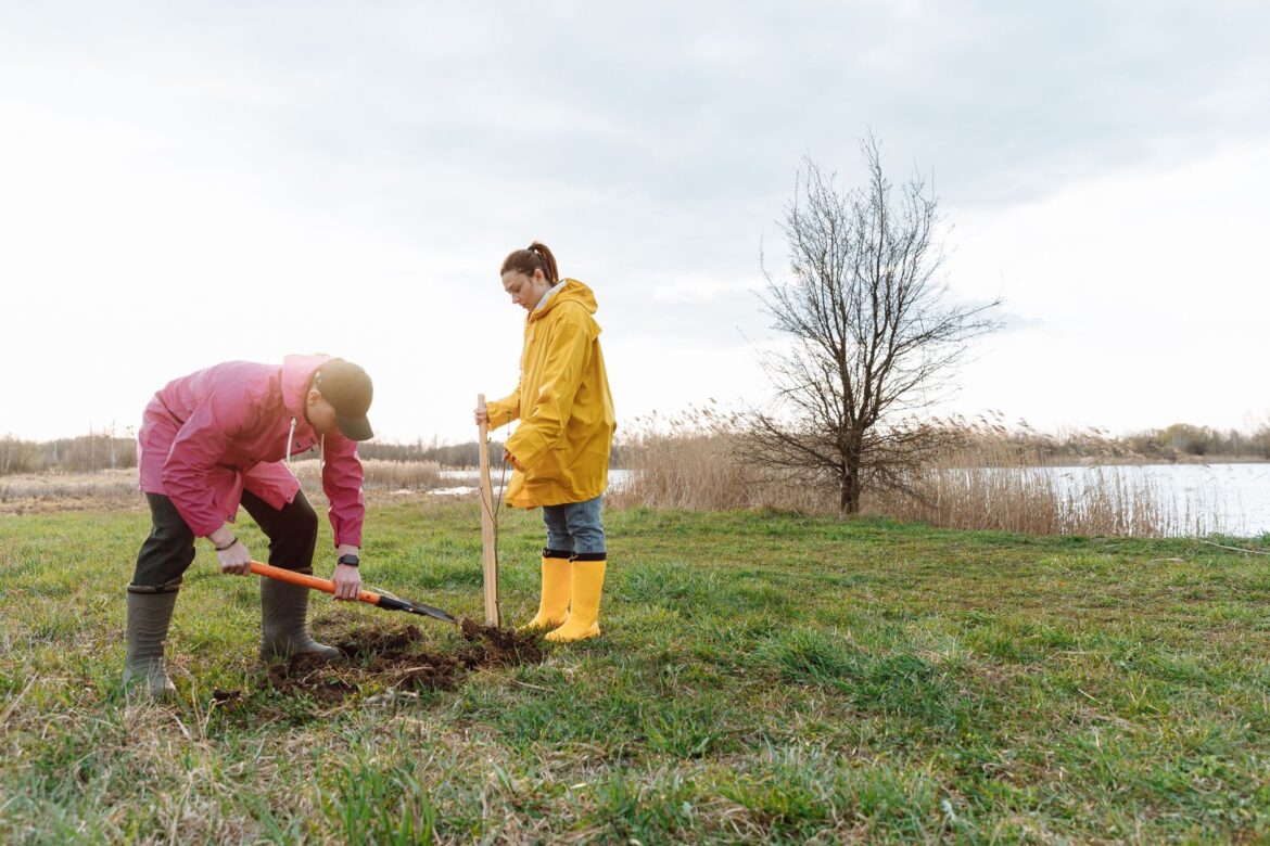 Canal Towpath Volunteer Ranger UK: What the Role Really Involves - ilustracja artykulu