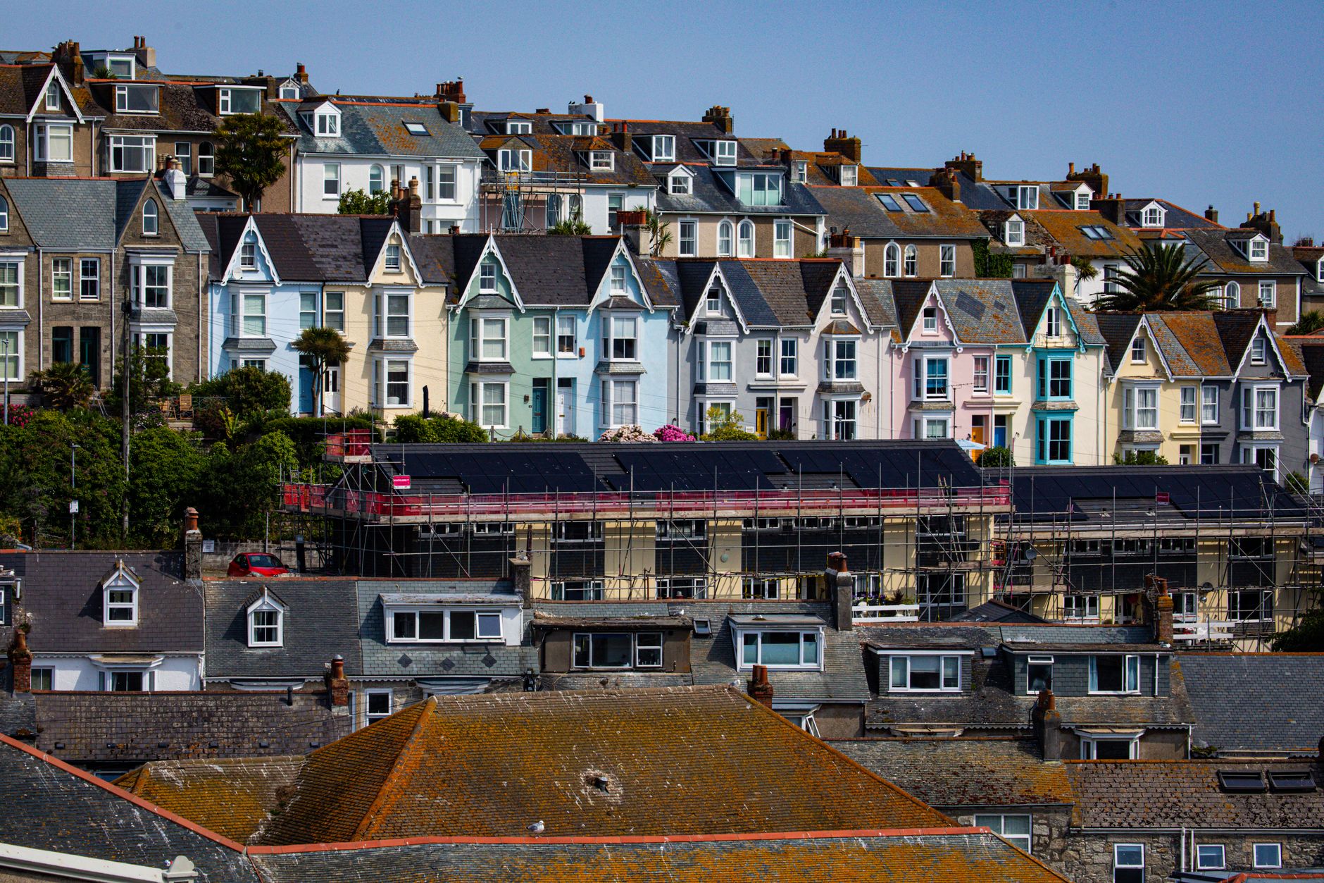 Council Housing Application: A Practical Guide for UK Dog Owners - zdjecie w tresci